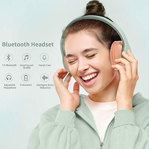 Lobkin Over The Ear Bluetooth Headphones with Microphone, Foldable Hi-Fi Stereo Noice Reduce Earphones for Class, Home Office, Game/TV/PC/Phone Comfortable Steel Wireless Headphone