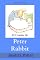 Livro O Conto de Peter Rabbit (O Universo de Beatrix Potter Livro 1)