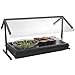 CFS LD500N08 Cateraide Insulated Beverage Server/Dispenser, 5 Gallon, Forest Green