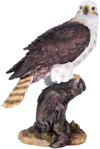Amazon Com Pacific Giftware Wildlife Red Tailed Hawk Eagle Birds Of Prey Figurine Statue 10 Inch Home Kitchen