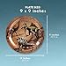 Dinosaur Plates - 80-Pack Dino Plates with Jurassic Dino Print, Dinosaur Themed Kids Birthday Party Supplies, 9-Inch Round Cake Plates, Lunch, Dessert