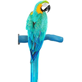 Sweet Feet and Beak Safety Pumice Perch for Birds Features Real Pumice to Trim Nails and Beak and Promote Healthy Feet - Safe and Non-Toxic, for Bird Cages - [ Large/Blue ]