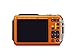 Panasonic DMC-TS6D LUMIX WiFi Enabled Tough Adventure Camera (Orange)