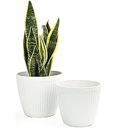 LaDoVita 7-teiliges Pflanztopf-Set – Kunststoff, Mit Drainagelöchern & Untersetzern, Weiß, Größen: 7 Bis 4 Zoll