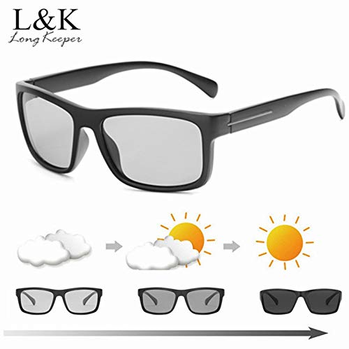 chameleon with glasses