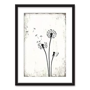 Framed Dandelion in Black White Black Picture Frames White Matting