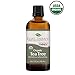 Plant Therapy Organic Tea Tree Oil (Melaleuca) 100% Pure, USDA Certified Organic, Undiluted, Natural Aromatherapy, Therapeutic Grade 100 mL (3.3 oz)