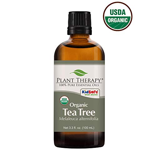 Plant Therapy Tea Tree Organic Essential Oil 100% Pure, USDA Certified Organic, Undiluted, Natural Aromatherapy, Therapeutic Grade 100 mL (3.38 oz) (Best Cheap Skin Care Products Australia)