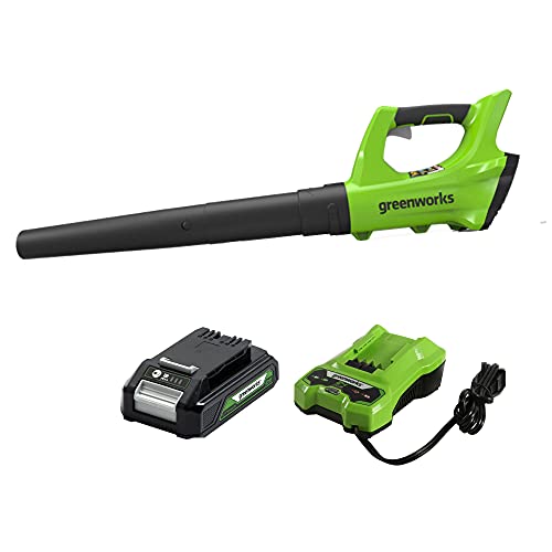 Greenworks 24V Cordless String Trimmer And Blower Combo Pack, 2Ah