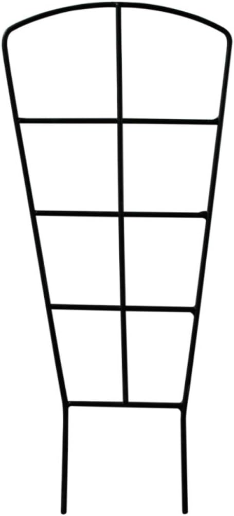Muddy Hands Metal Fan Trellis for Plant Pots Planters and Garden Climbing Plants Support Frame (Large)