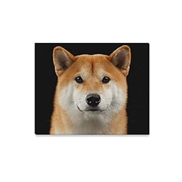 Amazoncom Enevotx Wall Art Painting Close Up Portrait Of