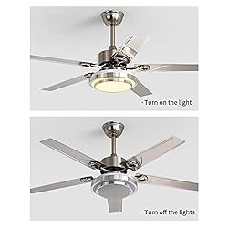 Outdoor Ceiling Fan Light,Remote Control Patio