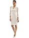 PattyBoutik Women's V Neck 3/4 Sleeve Overlay Lace Sheath Dress