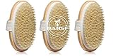 Dry Body Brush - 100% Natural Bristles - Cellulite Treatment, Increase Circulation and Tighten Skin. (Pack of 3)