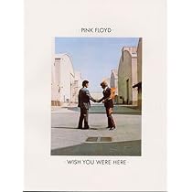 Pink Floyd: Wish You Were Here: PINK FLOYD (ARTIST): 9780711910294