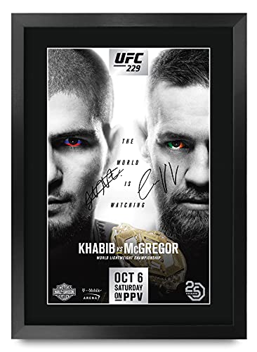 McGregor UFC 229