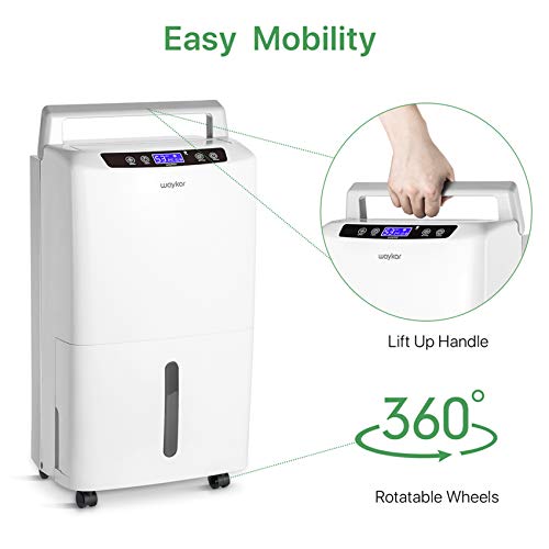 Waykar 2000 Sq Ft Dehumidifier