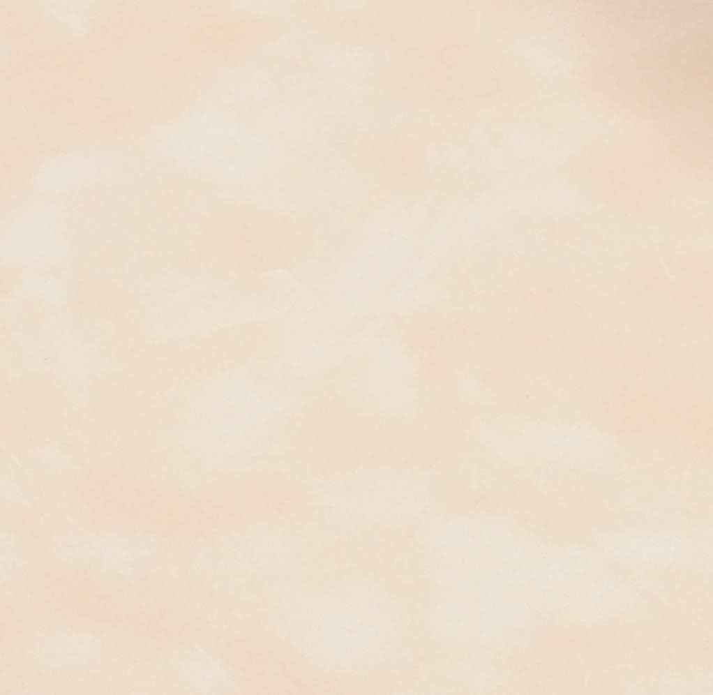Venilia 53200 Adhesive Film Velvet Look Beige Velour Film Decorative Film Furniture Film Wallpaper Self-Adhesive Film PVC Light Beige 140 µm (Thickness: 0.14 mm)