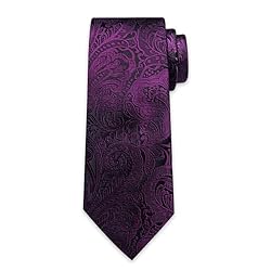 DiBanGu Silk Paisley Ties for Men Woven Necktie and