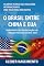 Livro DA SÉRIE TEORIAS DAS RELAÇÕES INTERNACIONAIS UMA VISÃO PARA INICIANTES O BRASIL ENTRE CHINA E EUA.: Análise Teórica das Transformações nas Relações Internacionais ... INTERNACIONAIS - UMA VISÃO PARA INICIANTES)