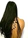 Premium Dragonfly & Butterfly Black Silhouette Tattoo Tattoos