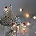 Battery Operated Christmas Lights Decorative String Lights LED 20 Santa Claus Novelty Fairy Lights Flexible Copper Wire Indoor Decoration Lights for Christmas,Holidays,Party (Santa Claus)