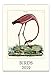 Cavallini Papers & Co., Inc. 2019 Wall Birds Calendar, Multi