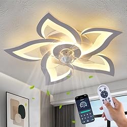 Dalouguan Flush Mount Ceiling Fan with