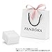 Pandora Dreamy Dragonfly Silver Charm 797025CZ
