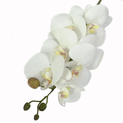 image for JAROWN 4pcs 30