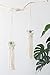 Mkono 2 Pack Mini Macrame Air Plant Holder Boho Tillandsia Hanger Modern Hanging Indoor Planter Home Deocor for Small Plants, Wall Decorations, Prefect Gifts
