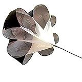 AGPtek Speed Training Resistance Parachute - Small (40" Size), 15 lbs of resistance, Fit up to a 42" waist