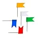 Outus 60 Pieces Multi-Color Map Flag Push Pins, Assorted Colors