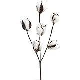 Group of 4 Lifelike Artificial Cotton Plant Embellishing Sprays for Florals, Crafting and Decorating
