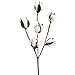 Group of 4 Lifelike Artificial Cotton Plant Embellishing Sprays for Florals, Crafting and Decorating