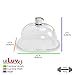 LeLuv Vacuum Cup & Fitting for Female Vagina Labia Clitoris Enhancement Pumps Medical-Grade Clear Acrylic