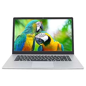 15.6 inch Laptop, IPS display, Intel 64-bit quad-core celeron_j3455 processor, 8GB RAM, 256GB SSD, scalable 1TB SSD…