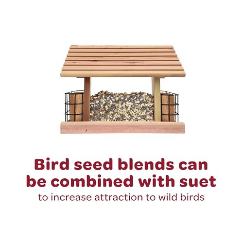 KAYTEE NYJER WILD BIRD FOOD SEED, 5 POUND