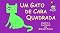 Livro Um Gato de Cara Quadrada