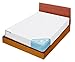 BED BUG BLOCKADE - KING