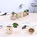 Succulent Planter, Cute Ceramic Owl Planters with Drainage, 2.5 Inch Small Flower Pot, Set of 6 Pots for Plants