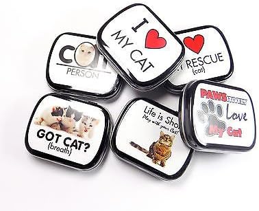 Novelty Mints Cat Person Refreshing and long lasting Candy Mint Tin box
