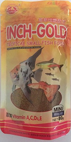 inch gold tropical small fish food