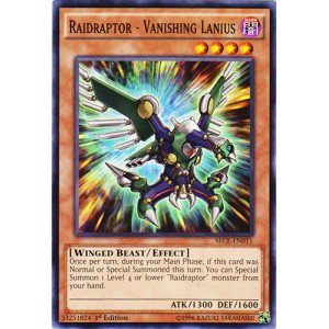 Yu-Gi-Oh! - Raidraptor - Vanishing Lanius (SECE-EN011) - Secrets of Eternity - 1st Edition - Common