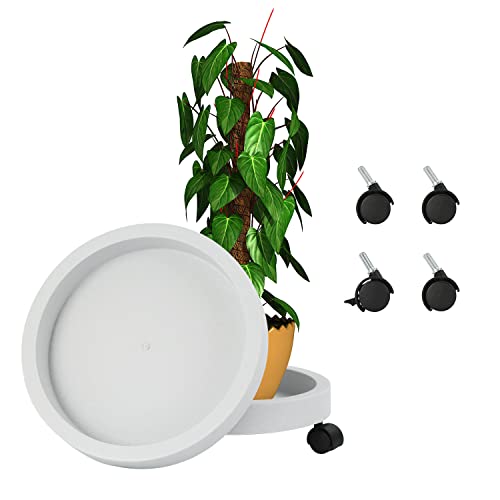 Roll Around Plant Caddy Wheeled Plant Drainage Tray Indoor Outdoor