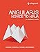 Angularjs: Novice to Ninja: Elegant, Powerful, Testable, Extendable