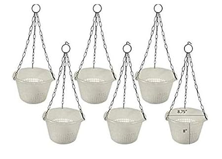 Hanging Orchid Pot with Metal Chain / Orchid / semi Transparent Hanging Pot (Pack of 6 nos) - ADN Traders