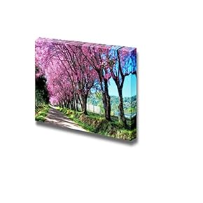 Canvas Prints Wall Art - Cherry Blossom in Spring | Modern Wall Decor/Home Decoration Stretched Gallery Canvas Wrap Giclee Print. Ready to Hang - 12" x 18"