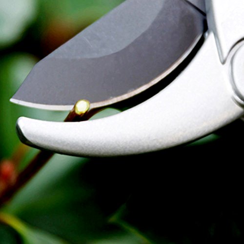 CoZroom Professional Bypass Pruning Shears, Hand Pruners, Garden Clipper – Ideal for Trees, Flowers, Stems, Shrubs and Branches - Thumbnail 4