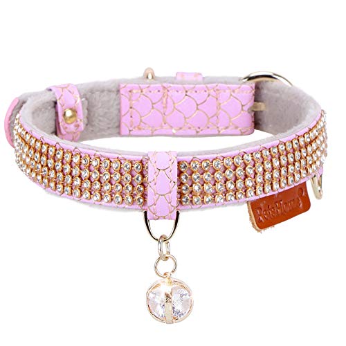 expensive cat collars